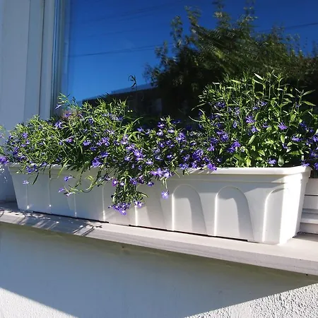 Prázdninový dům Maenni House