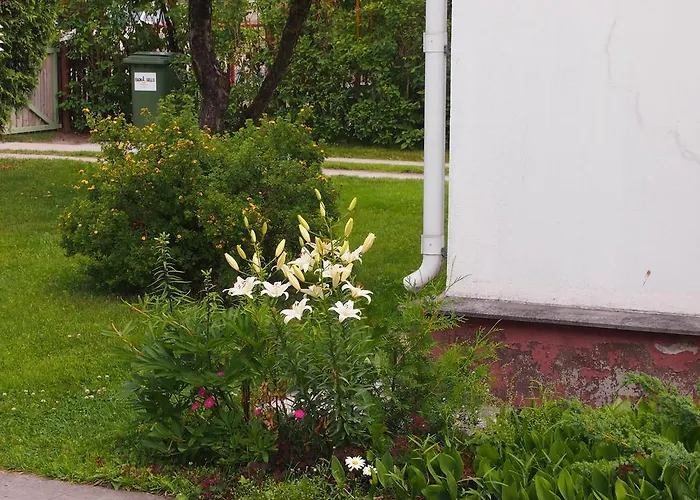 Holiday home Maenni House Haapsalu