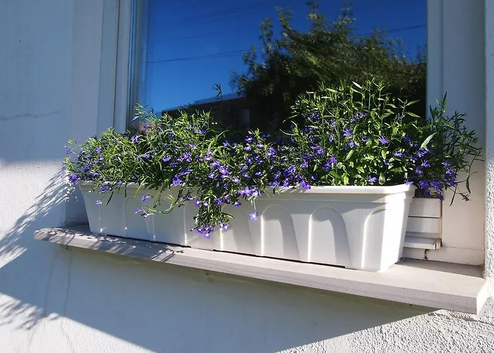 Holiday home Maenni House